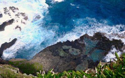 Part 2 – Ankommen im Paradies