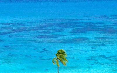 Part 7 – Ia ora na Moorea