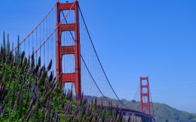 Part 8 – San Francisco